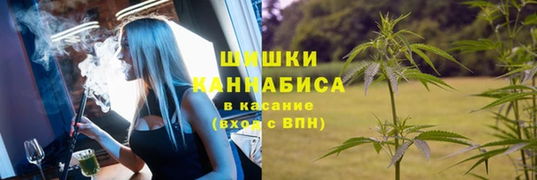 ПСИЛОЦИБИНОВЫЕ ГРИБЫ Михайловка