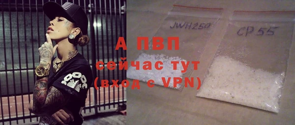 ГАЛЛЮЦИНОГЕННЫЕ ГРИБЫ Михайлов