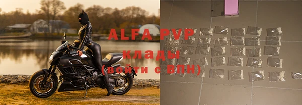 ГАЛЛЮЦИНОГЕННЫЕ ГРИБЫ Михайлов