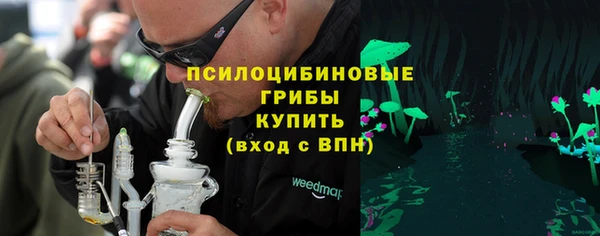 ГАЛЛЮЦИНОГЕННЫЕ ГРИБЫ Михайлов