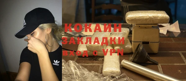 ГАЛЛЮЦИНОГЕННЫЕ ГРИБЫ Михайлов