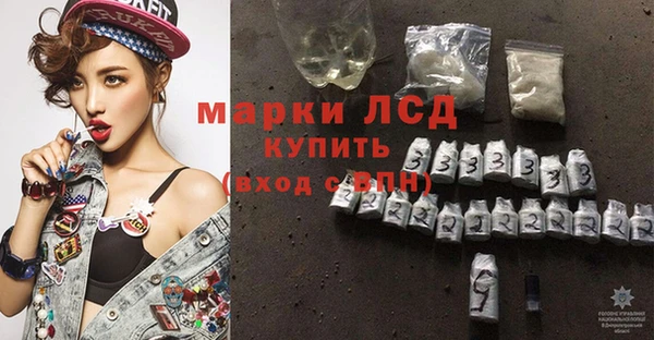 ПСИЛОЦИБИНОВЫЕ ГРИБЫ Михайловка