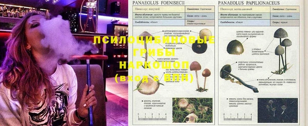 кокс Михайловск