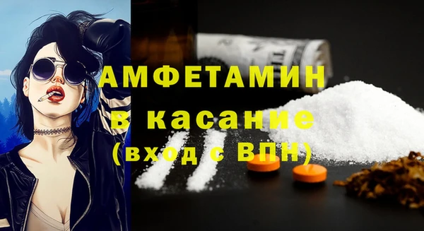 ГАЛЛЮЦИНОГЕННЫЕ ГРИБЫ Михайлов