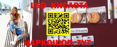 mdpv Новодвинск