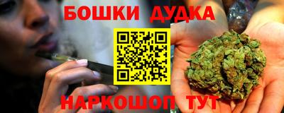 mdpv Новодвинск