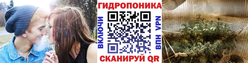 купить закладку  Североморск  MEGA   Бошки марихуана сатива 