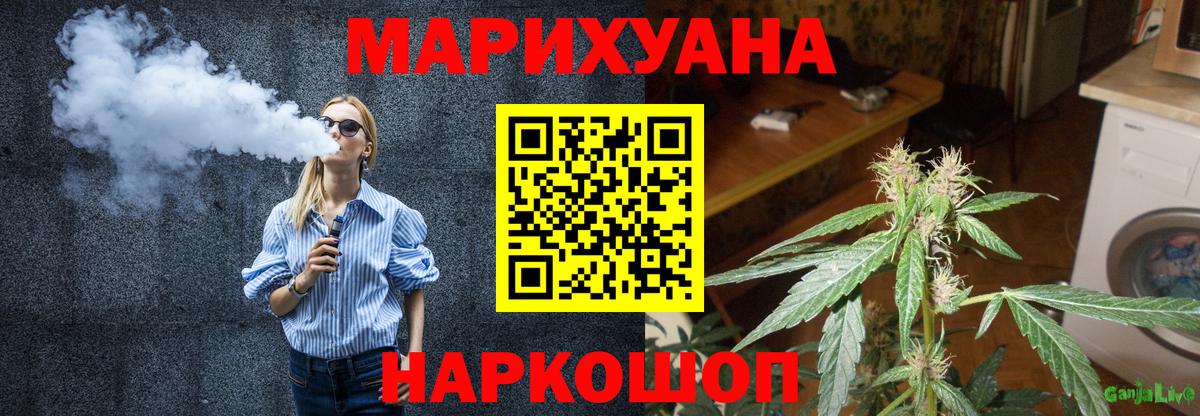 Конопля марихуана Североморск